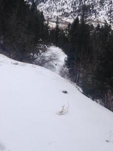 1947691_606897672723809_1120824884_n