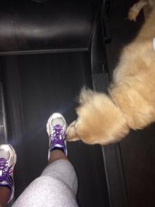 970751_621647011248875_671834469_n