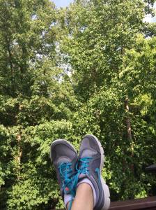 10415963_10203896983009123_1053215017_o