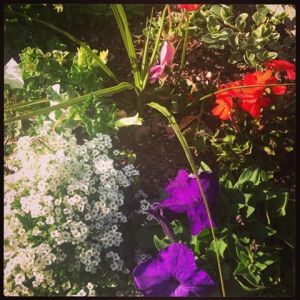 10438520_638161819608701_2734322410715744552_n