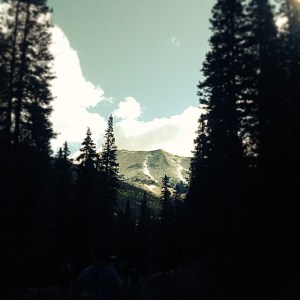 10502168_638423082921046_4475465305788933500_n