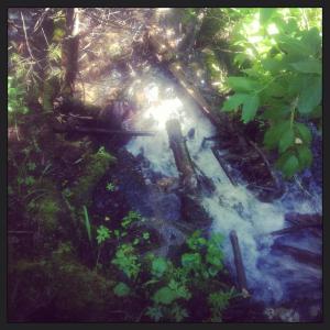 10526065_657071091051107_2912252758678975771_n