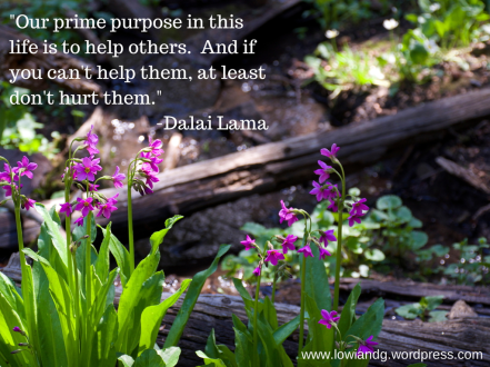 %22Our prime purpose in this life is to