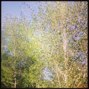 10494597_671867212904828_1085698471480222514_n