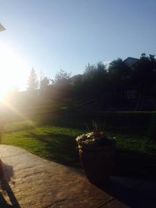 10537117_668309129927303_8147144602432236578_n