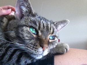 10553559_672914032800146_3046047579084501992_n