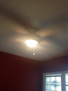 10582798_669731039785112_5383942032841291160_o