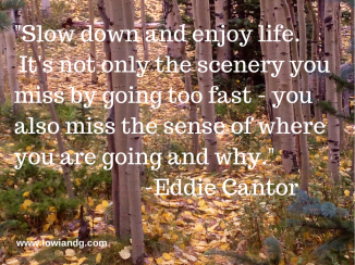 %22Slow down and enjoy life.  It's not