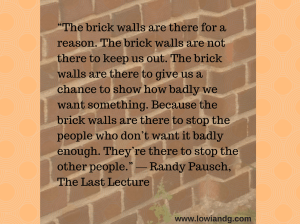 “The brick walls are there for a reason.