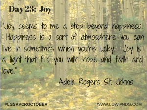 Day 23_  Joy