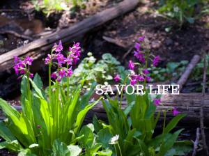 10511423_694276367330579_5356023992711006255_o