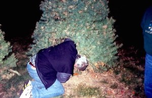 Christmas Decorating 4