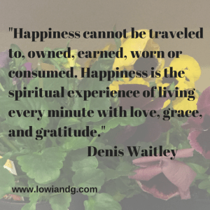 %22Happiness cannot be traveled to, owned,