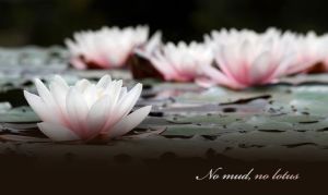 bcd2b9347a887b1dc50abf0f0c8bfcc8