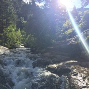 11099476_859131697500404_2214485571480756144_n