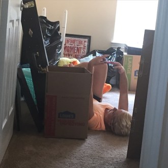 11391292_853779331368974_8425889687701534288_n