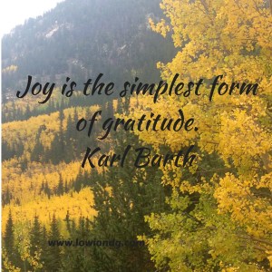 Joy is the simplest form of gratitude.Karl Barth