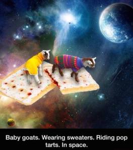 12741864_969583249790457_856483184045909632_n