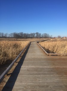 IMG_0465