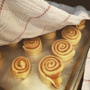 13391467_1015284368521099_4443702858385178057_o