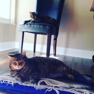 13417002_1012044478845088_7298832127182446579_o