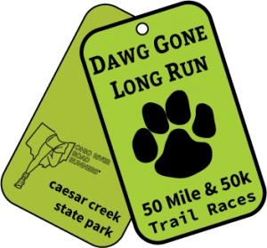 DGLR-2014-logo-300x279