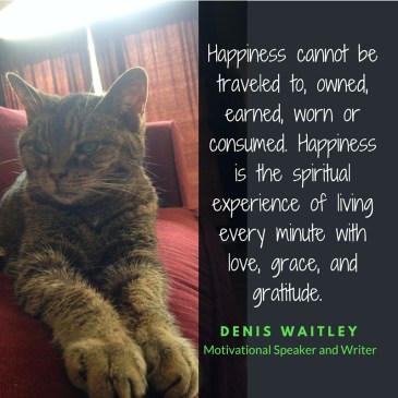 Happiness cannot be traveled to, owned, earned, worn or consumed. Happiness is the spiritual experience of living every minute with love, grace, and gratitude.
