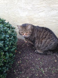 49944462505__a4b50613-ac15-47de-8685-63d309a5051e