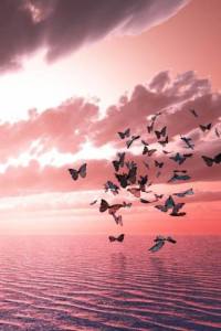 dalla-pagina-fb-egypt-days