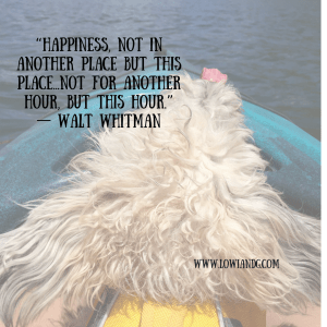 happiness-not-in-another-place-but-this-place-not-for-another-hour-but-this-hour-%e2%80%95-walt-whitman