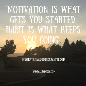 %22motivation-is-what-gets-you-started-habit-is-what-keeps-you-going%22